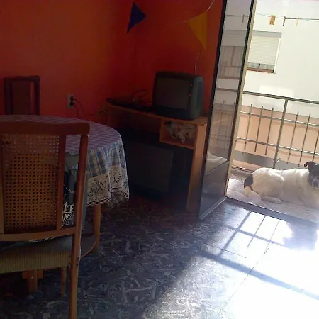 Pansiyon Dog Friendly *