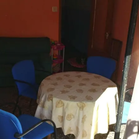 Dog Friendly Pansiyon