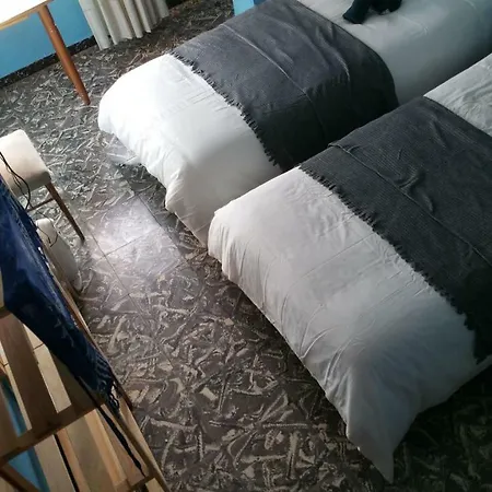 Dog Friendly Pansiyon *
