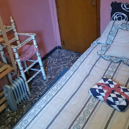 Dog Friendly Pansiyon *