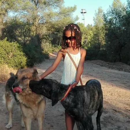 Pansiyon Dog Friendly *